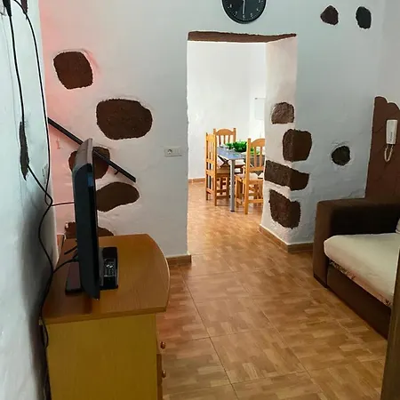 Palmera 16 *